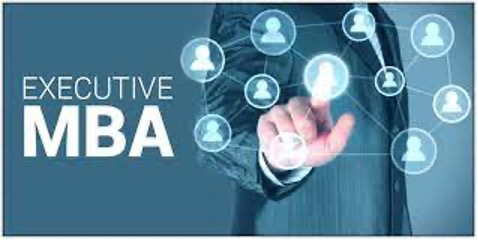 Network of professional contacts representing Executive MBA networking opportunities