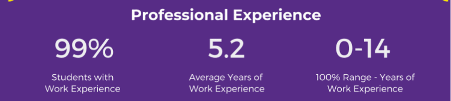Professional experience statistics of NYU Stern MBA students